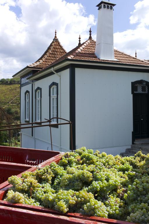 Penzion Casa De Cambres Lamego Exteriér fotografie