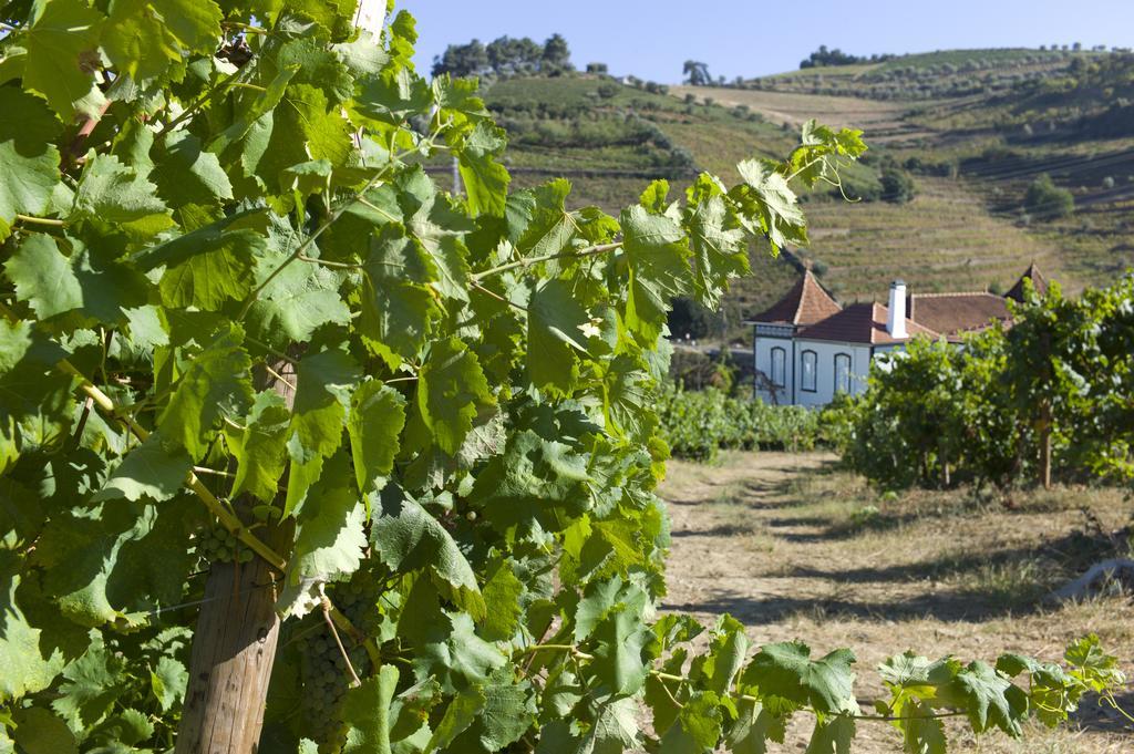Penzion Casa De Cambres Lamego Exteriér fotografie